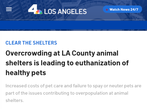NBC Los Angeles Overcrowding at LA County animal shelters is leading to euthanization of healthy pets