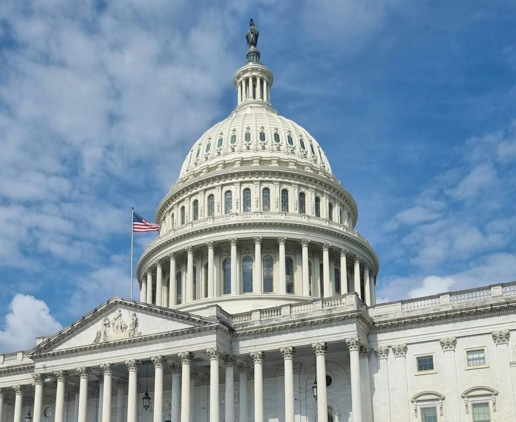 How Governments Can Help Stop Dog Overpopulation